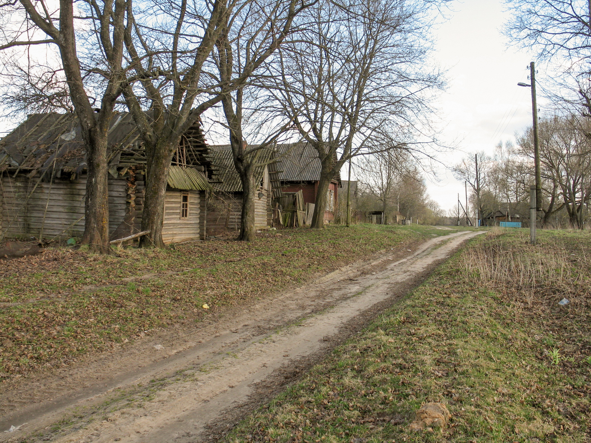 2007_7