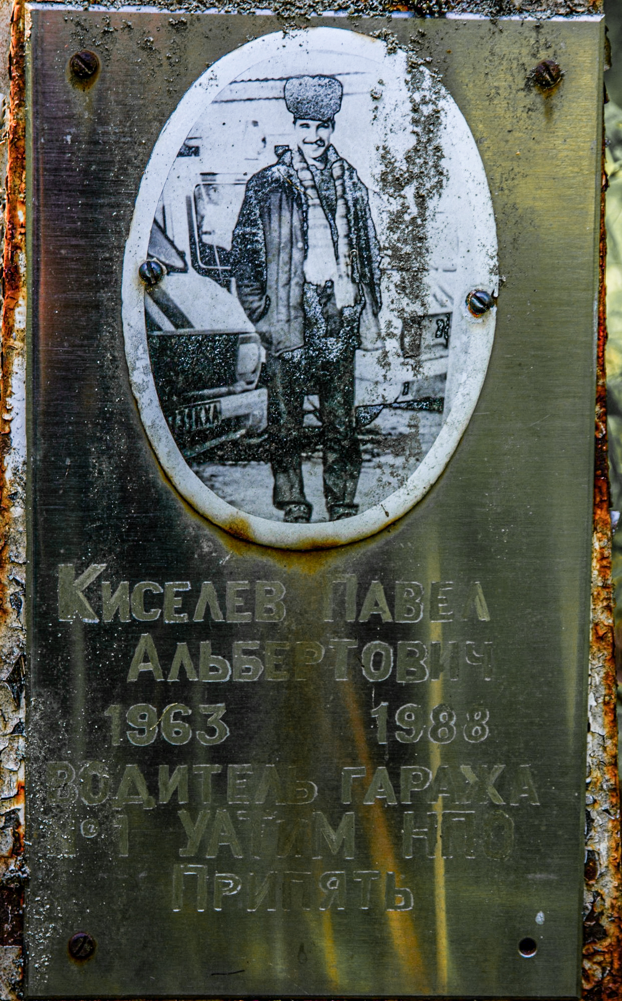 295007185_5516406171750499_2322486097410752629_n_новый размер