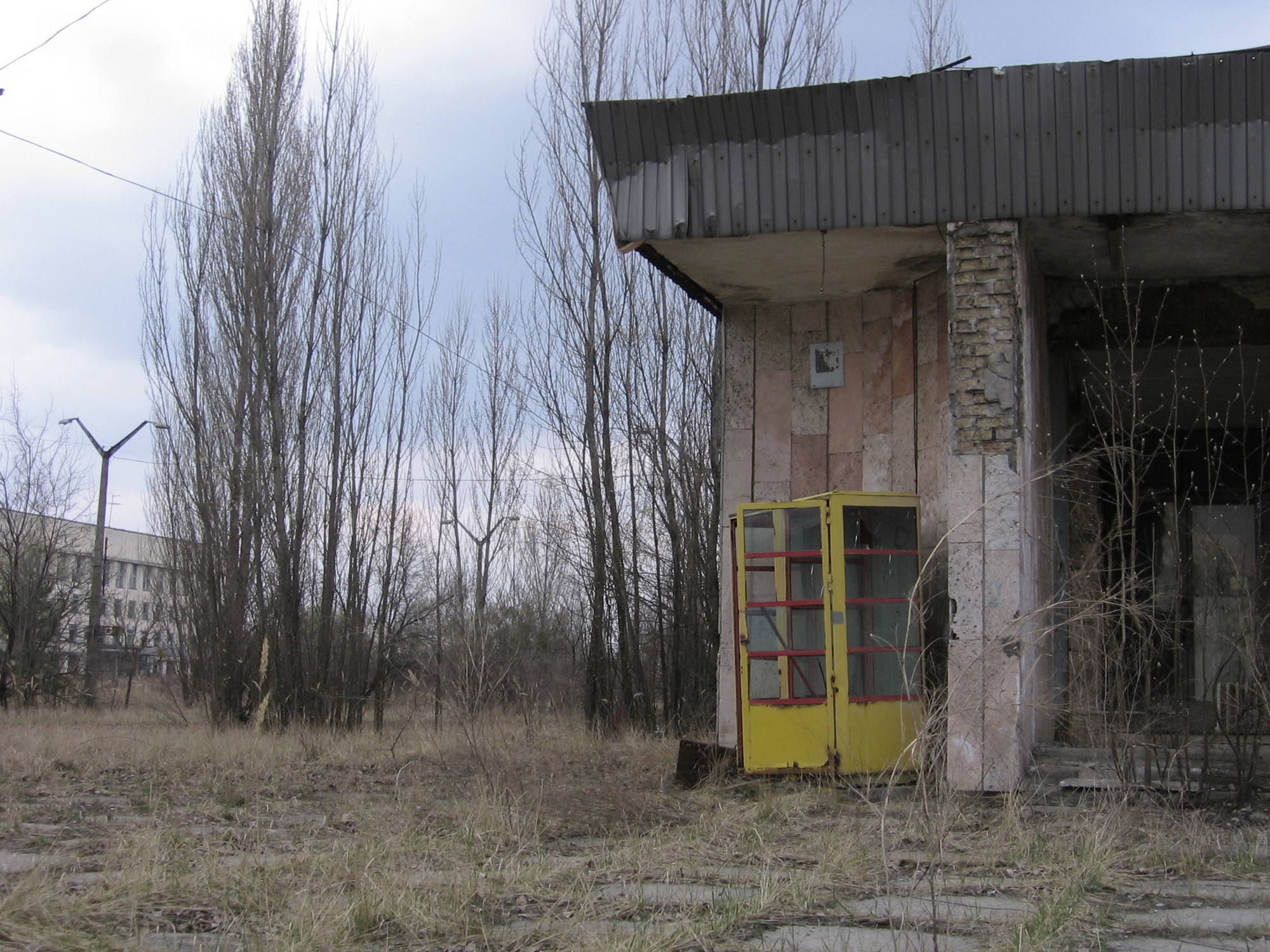 2006