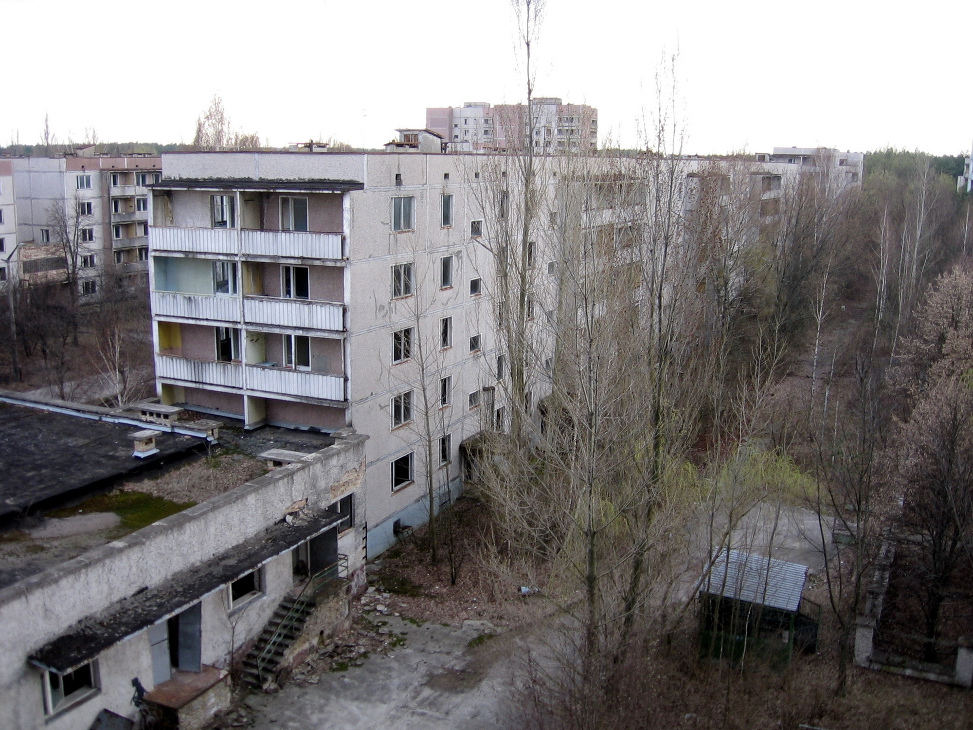 2006_11