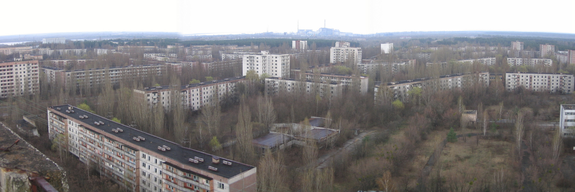2006_16