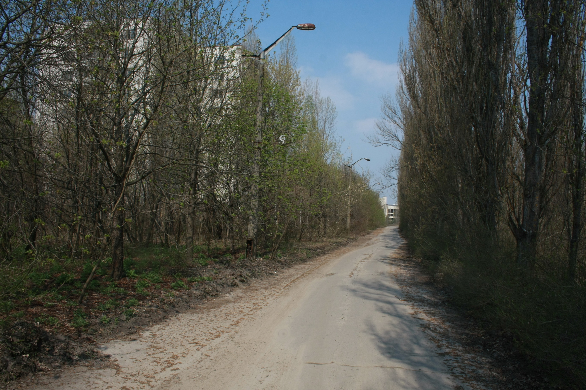 2011