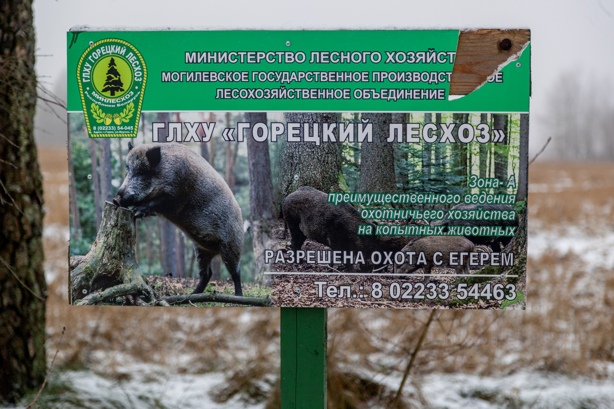 Кукш 2021_32