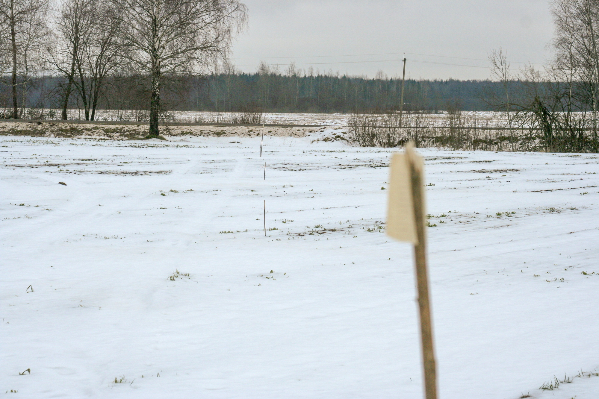 статья 2007_11