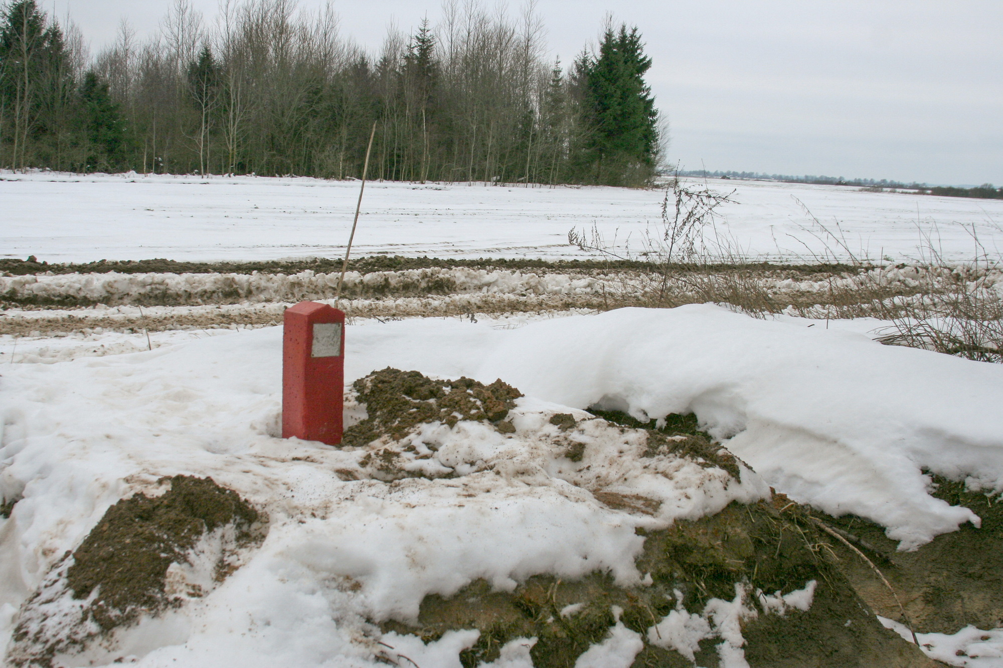 статья 2007_12