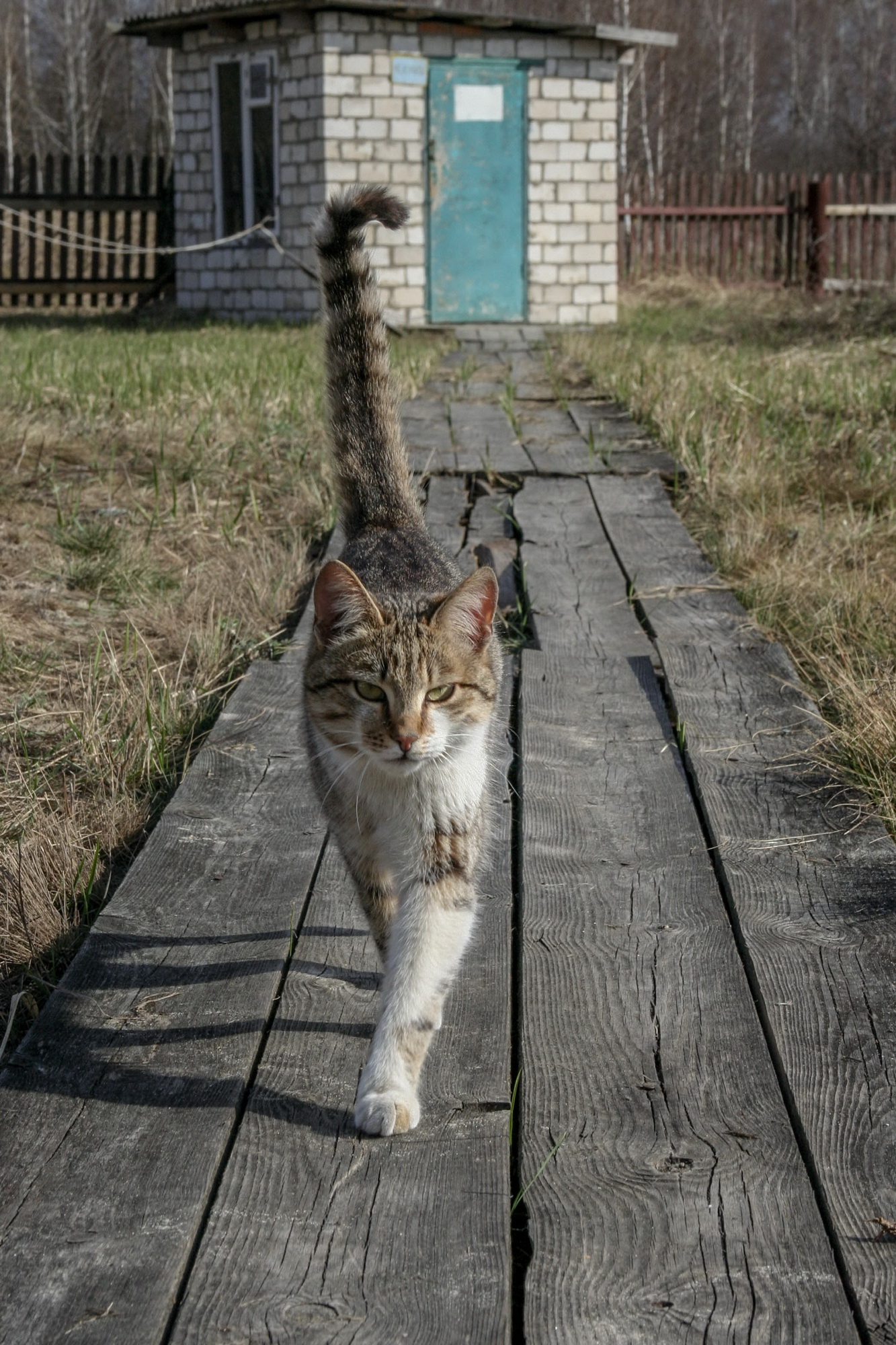 2010_2_новый размер