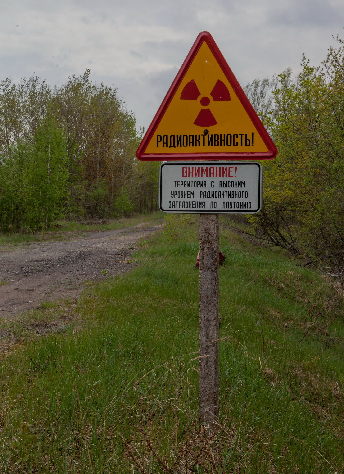 2019-1_0009_новый размер