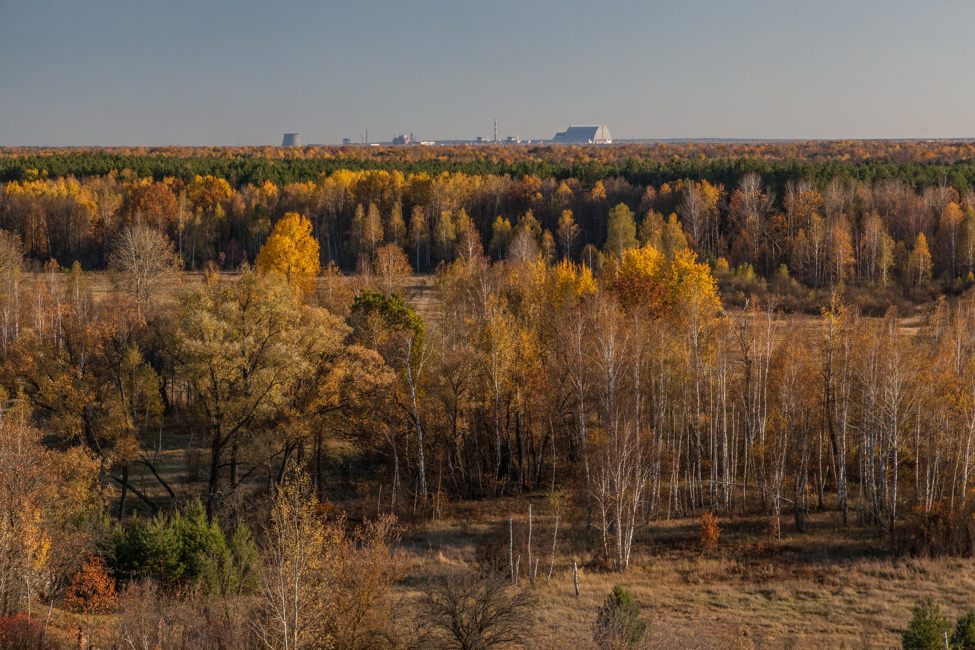 2019-2_11_новый размер