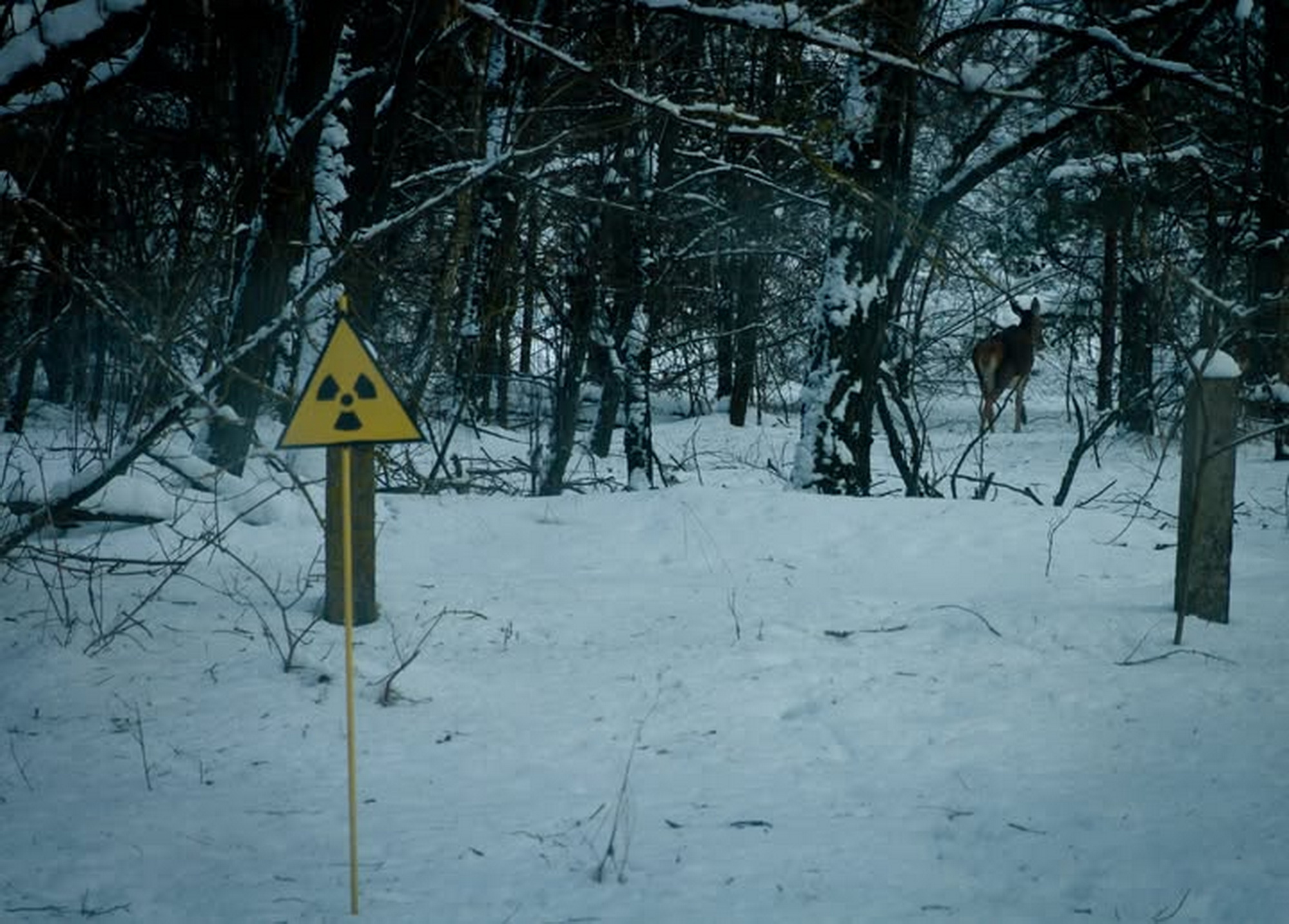 627935056_26106873958943752_3873837669966221999_n_2